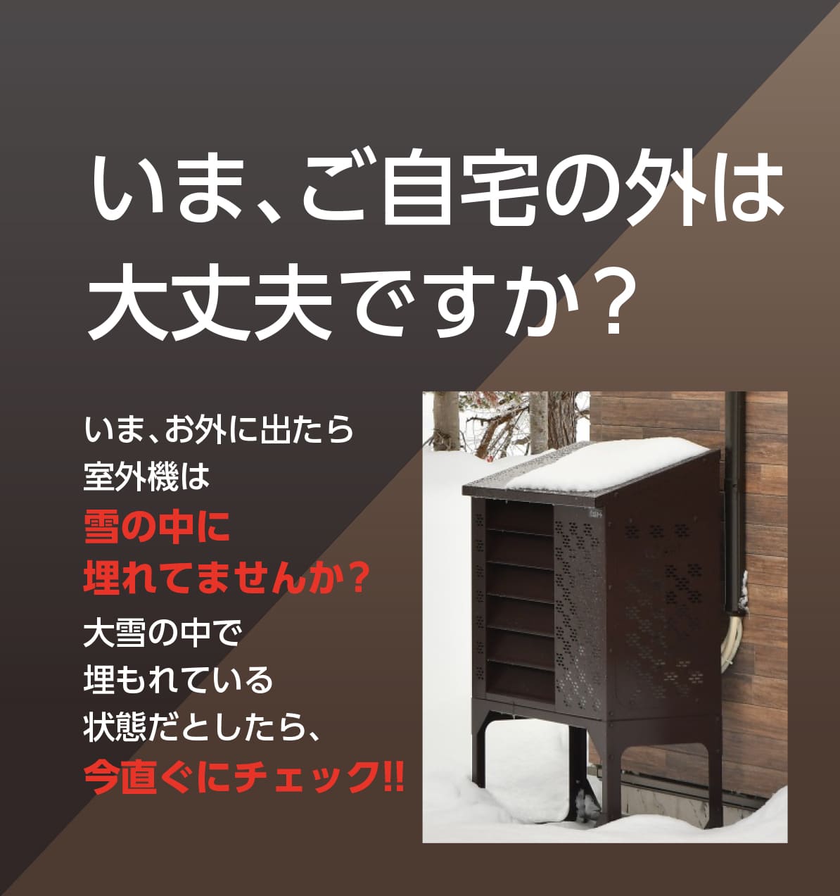 お待たせしました！！今春再出荷決定！ご予約開始